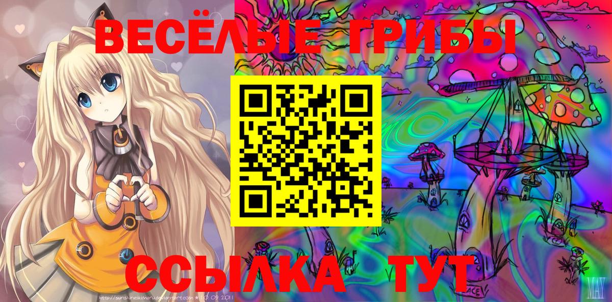 Галлюциногенные грибы Psilocybe  Вход с VPN  Владивосток 