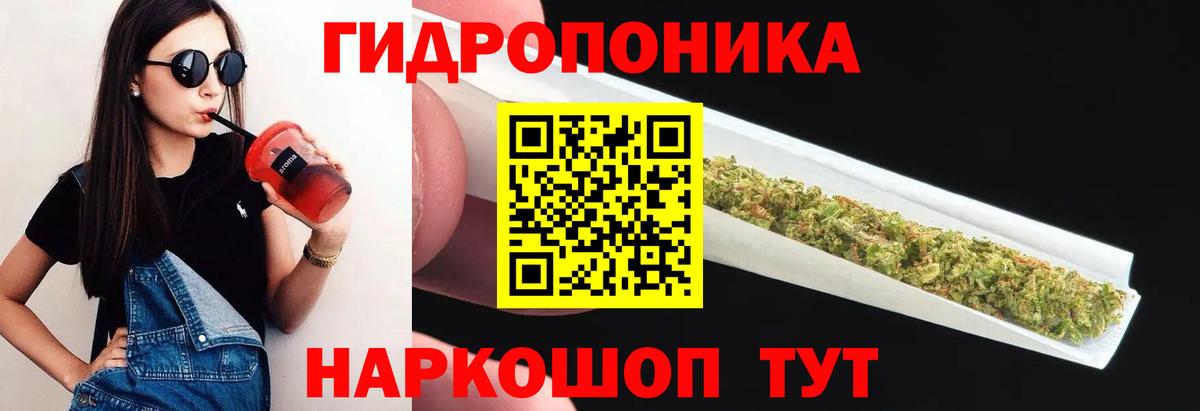 Каннабис OG Kush  Вход с VPN  Владивосток  Бошки Шишки Ganja  Шишки марихуана OG Kush 